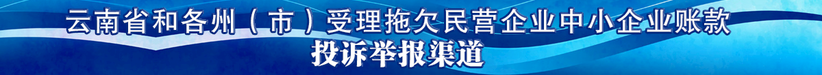云南省和各州(市)受理拖欠民营企业中小企业账款投诉举报渠道